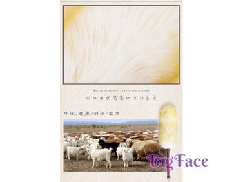 Image 1 of 11