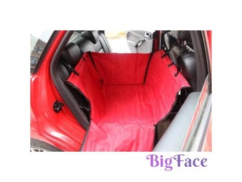 Image 1 of 11