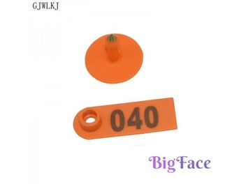 Image 1 of 10