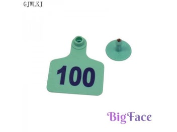 Image 1 of 10