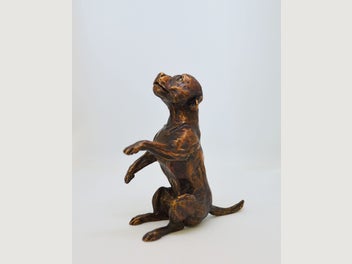 Image 1 of 14