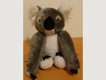 Image 1 of 5