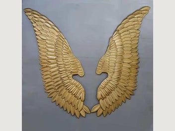 Image 1 of 12