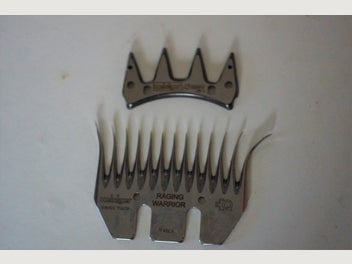 Image 1 of 7