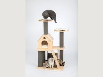 Image 1 of 14