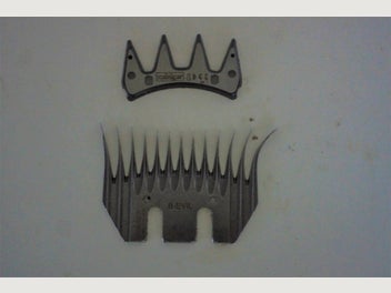 Image 1 of 6