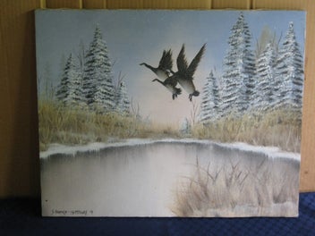 Image 1 of 14