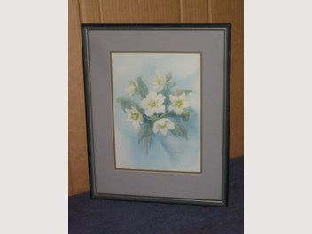 Image 1 of 16