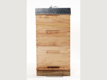 Image 1 of 11