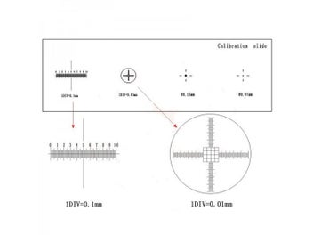 Image 1 of 9