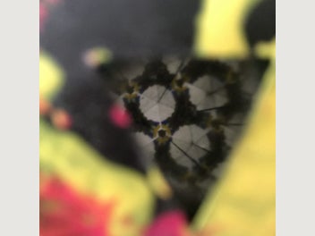 Image 1 of 9