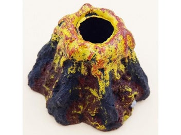 Image 1 of 9