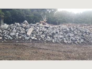 Image 1 of 20