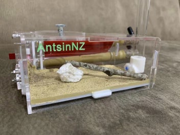 Image 1 of 16