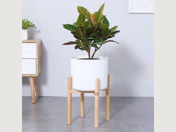 Image 1 of 10