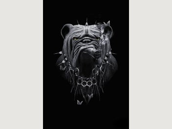 Image 1 of 4
