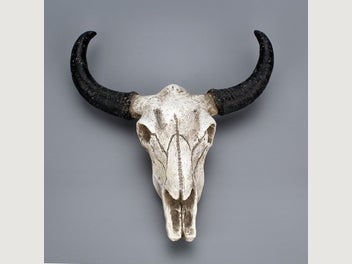 Image 1 of 8