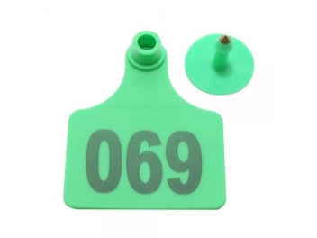Image 1 of 10
