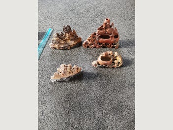 Image 1 of 8