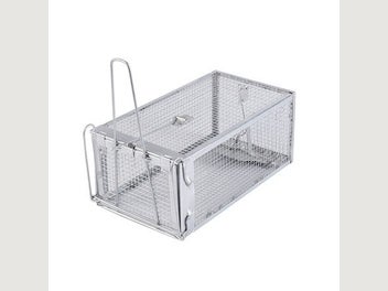 Image 1 of 9