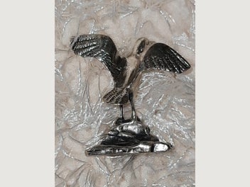 Image 1 of 11