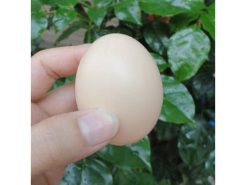 Image 1 of 9