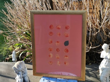 Image 1 of 10