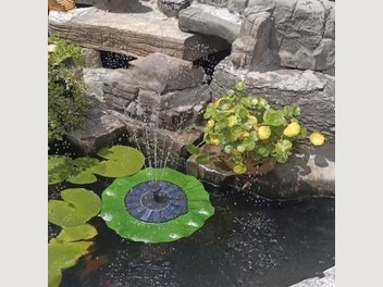 Image 1 of 7