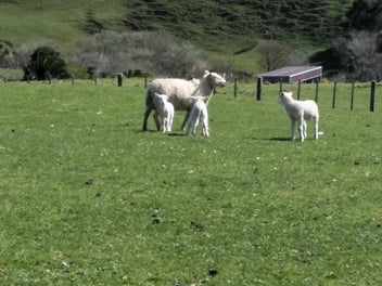 Image 1 of 3