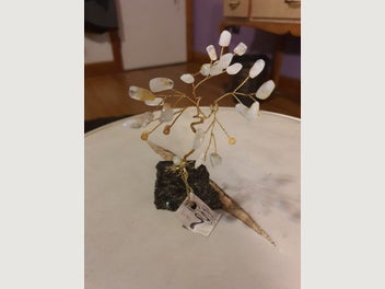 Image 1 of 4