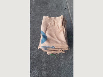 Image 1 of 11