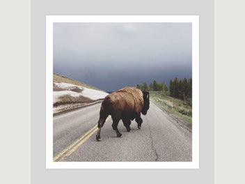 Image 1 of 2