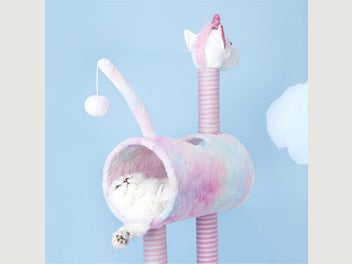 Image 1 of 9