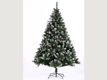 Image 1 of 8