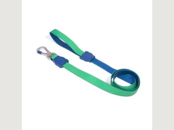 Image 1 of 11