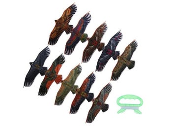 Image 1 of 9