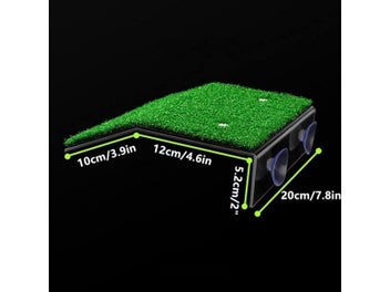 Image 1 of 10