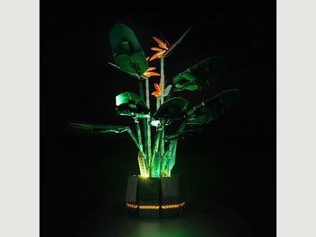 Image 1 of 7