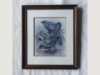 Image 1 of 11
