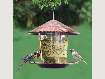 Image 1 of 7