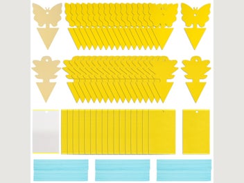 Image 1 of 11