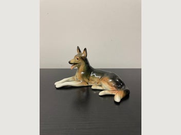 Image 1 of 12
