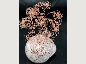 Image 1 of 7