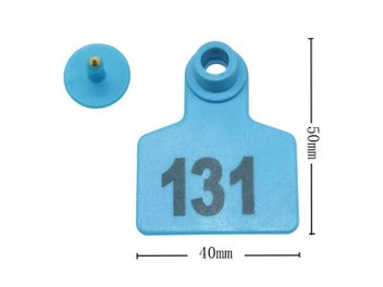 Image 1 of 10