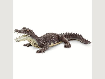 Image 1 of 9