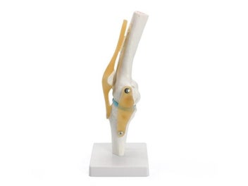 Image 1 of 9