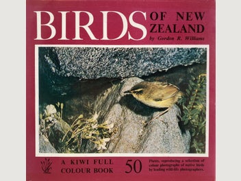 Image 1 of 12