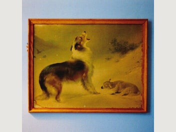 Image 1 of 1