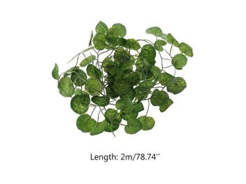 Image 1 of 13