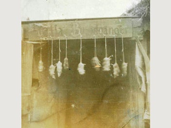 Image 1 of 20